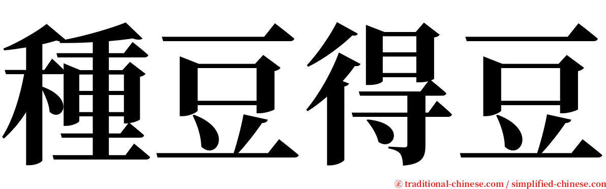 種豆得豆 serif font