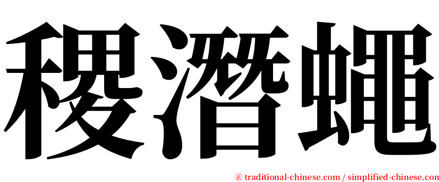 稷潛蠅 serif font