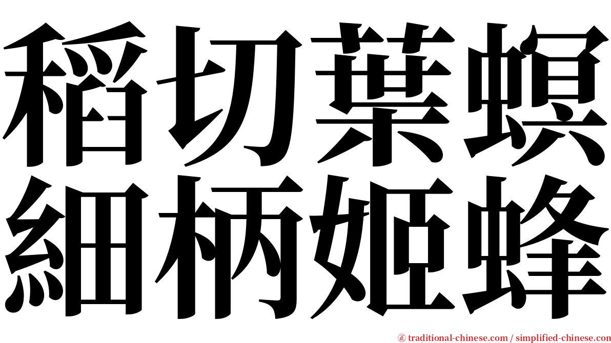 稻切葉螟細柄姬蜂 serif font