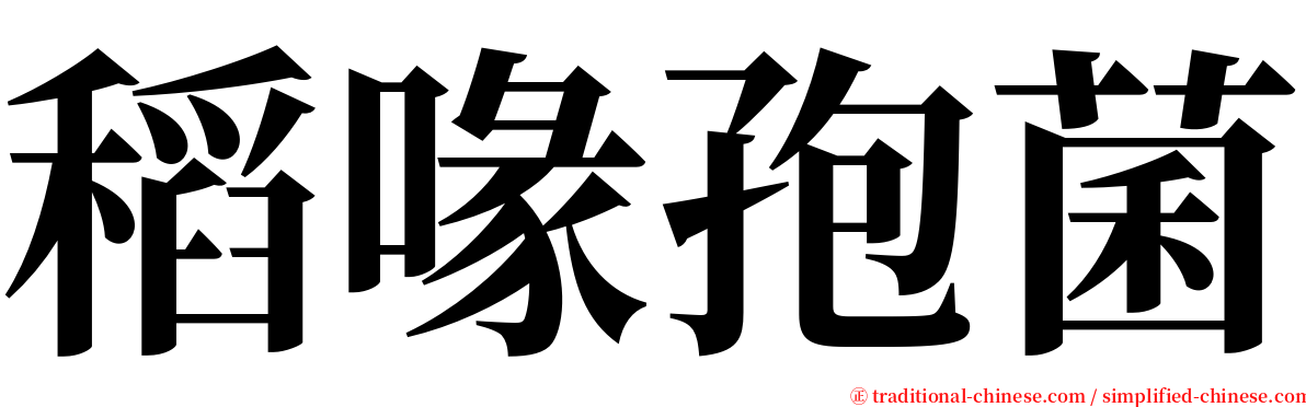 稻喙孢菌 serif font