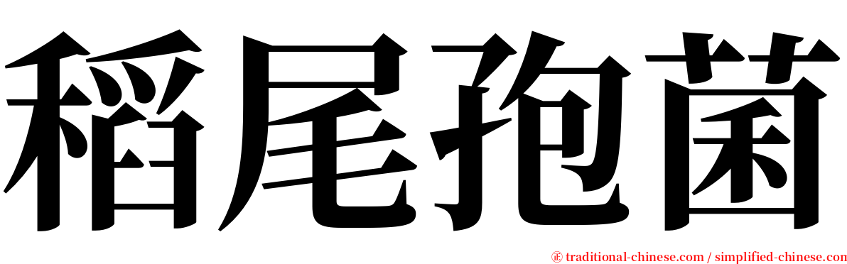 稻尾孢菌 serif font