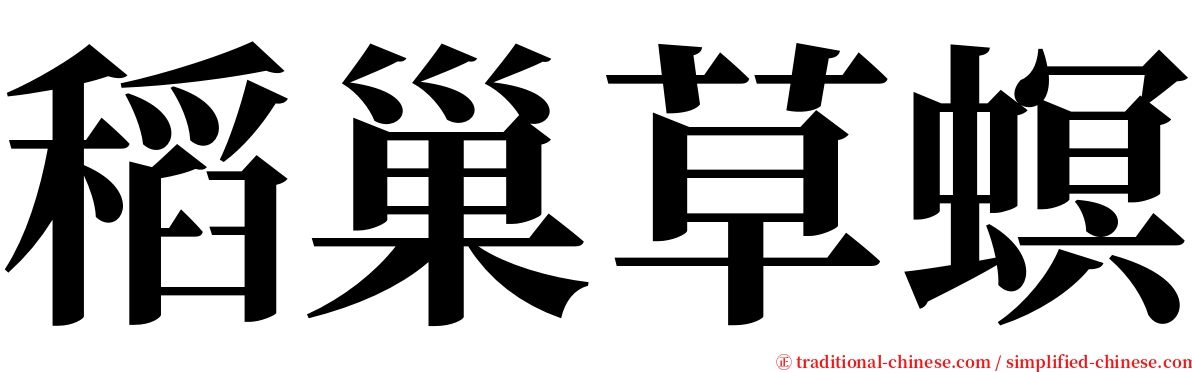 稻巢草螟 serif font