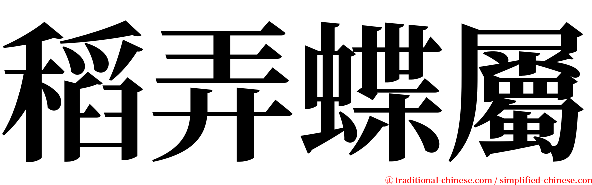 稻弄蝶屬 serif font