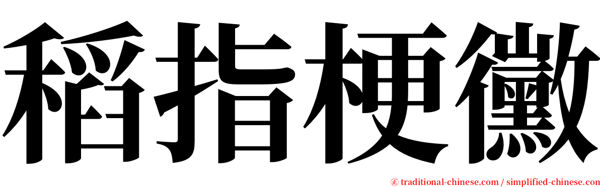 稻指梗黴 serif font