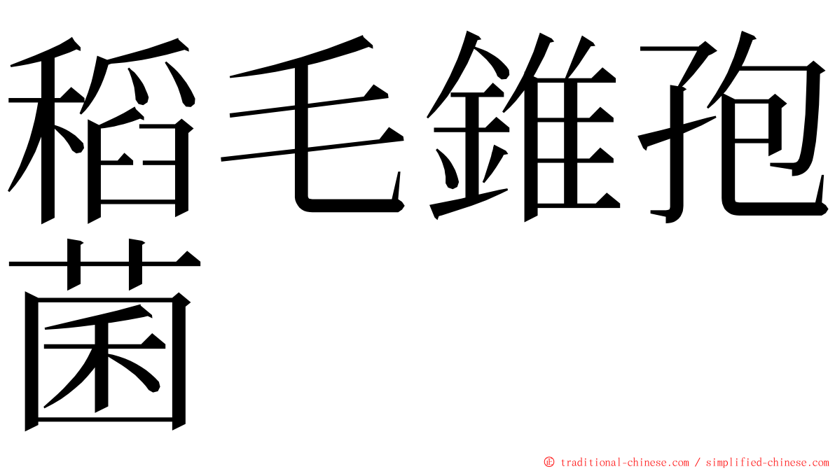 稻毛錐孢菌 ming font