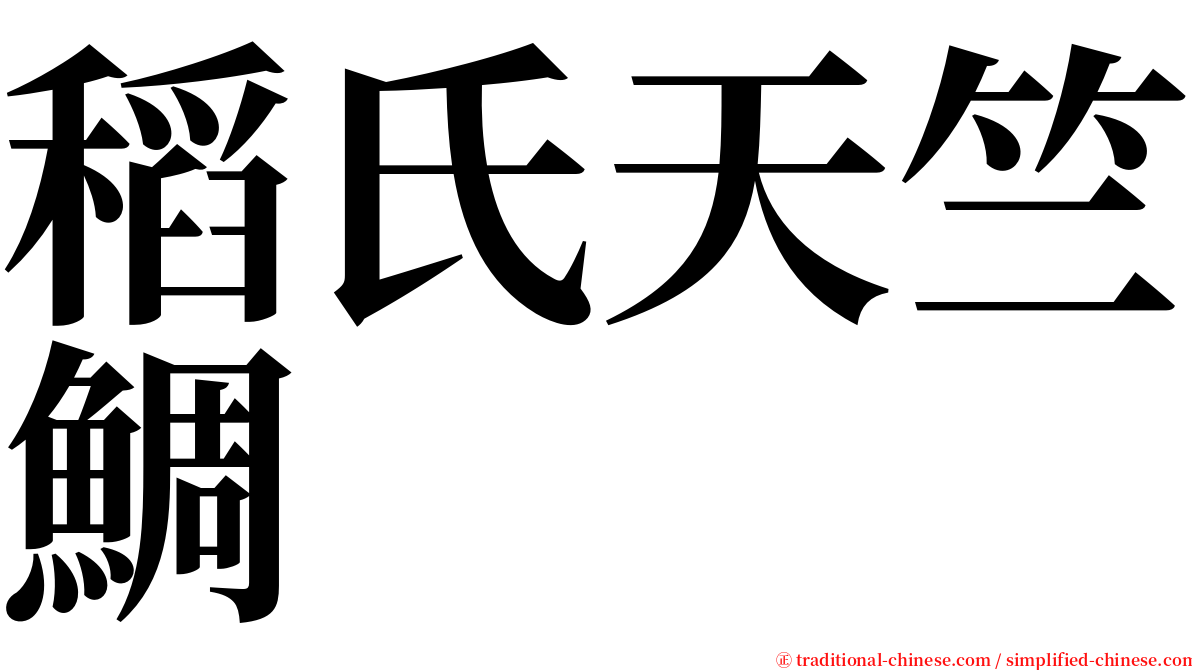 稻氏天竺鯛 serif font