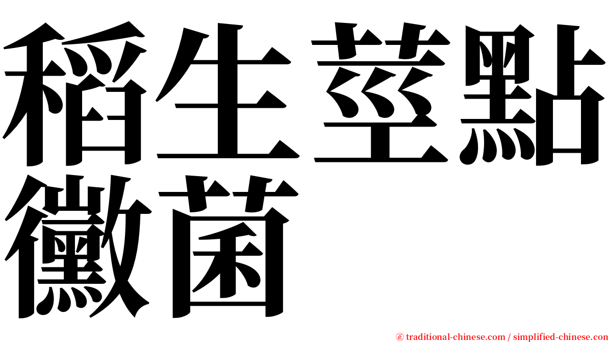 稻生莖點黴菌 serif font