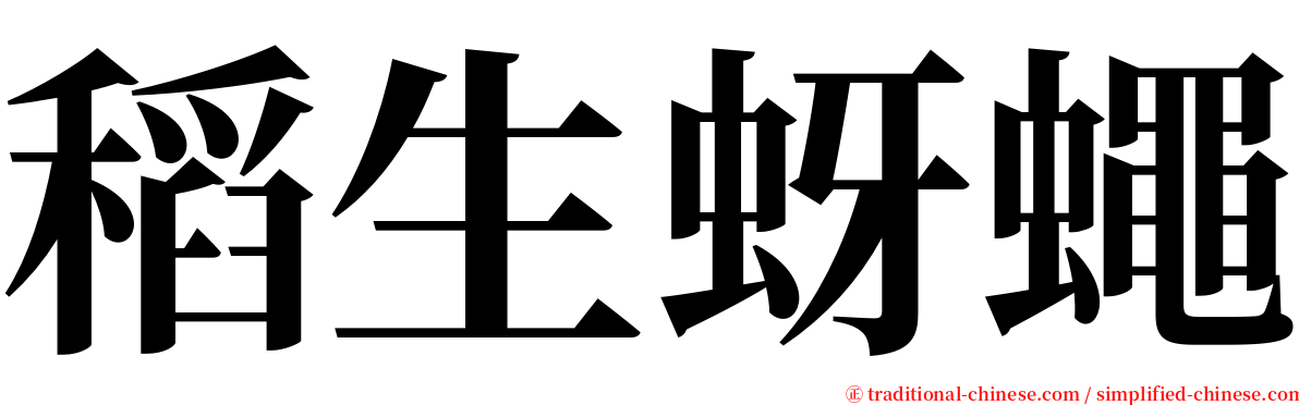 稻生蚜蠅 serif font