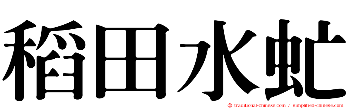 稻田水虻