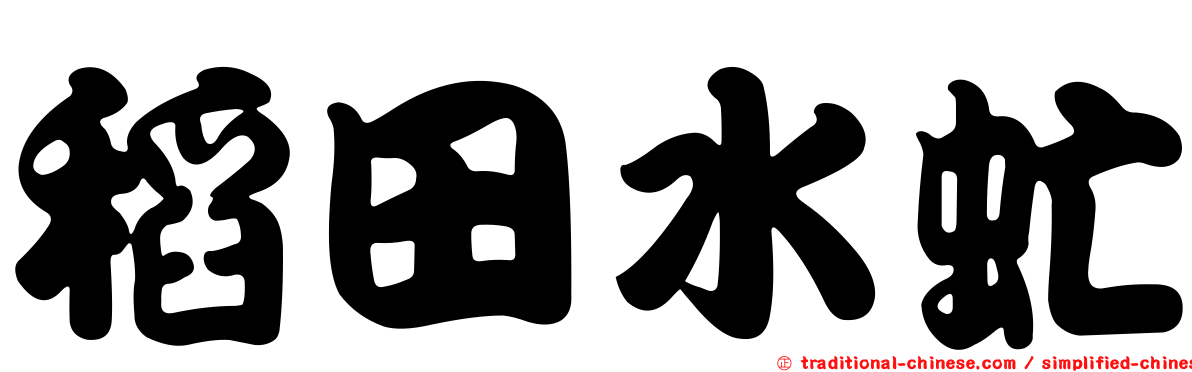 稻田水虻