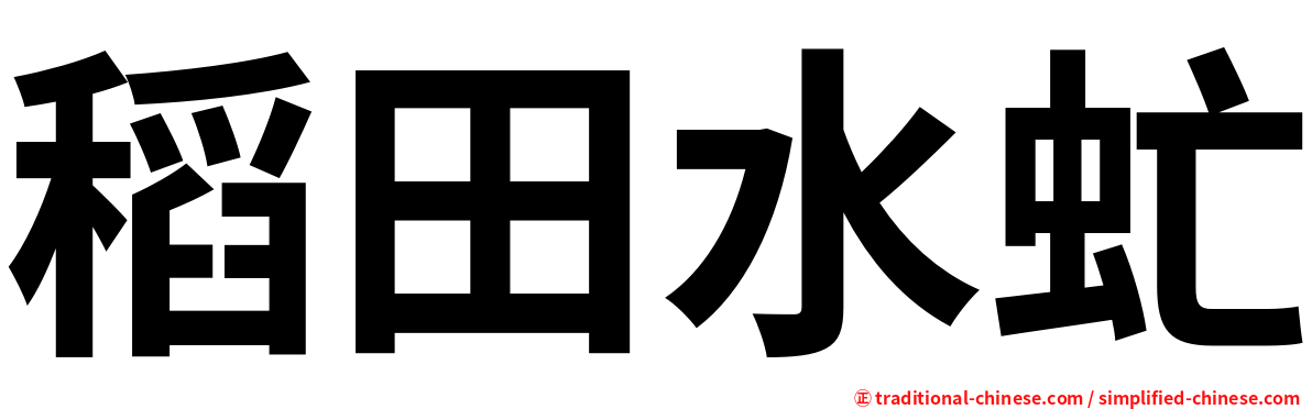 稻田水虻