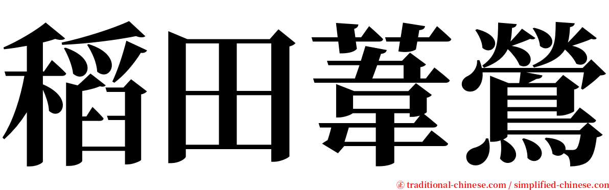 稻田葦鶯 serif font