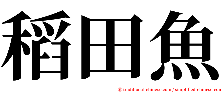 稻田魚 serif font