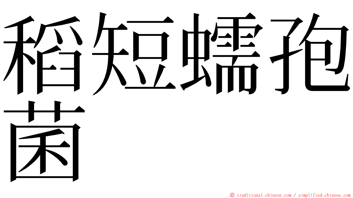 稻短蠕孢菌 ming font