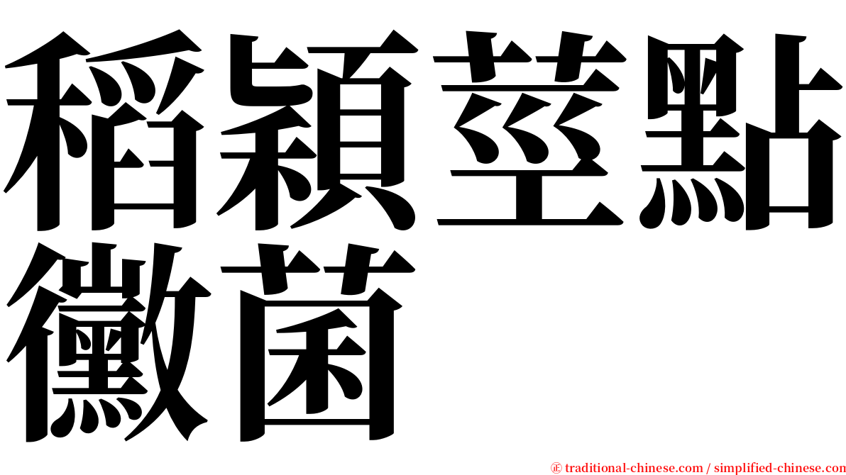 稻穎莖點黴菌 serif font