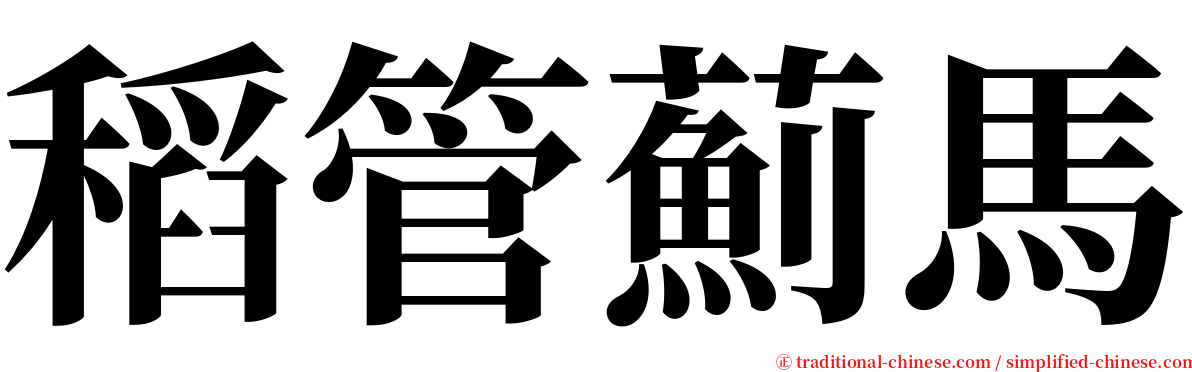 稻管薊馬 serif font