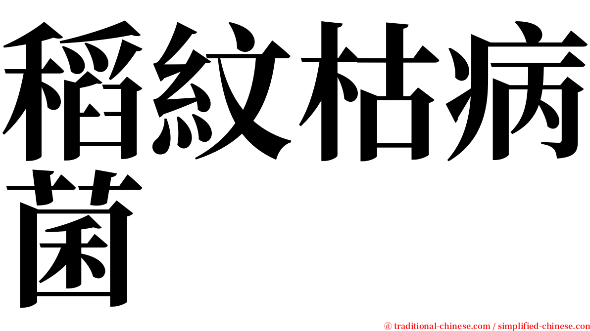 稻紋枯病菌 serif font