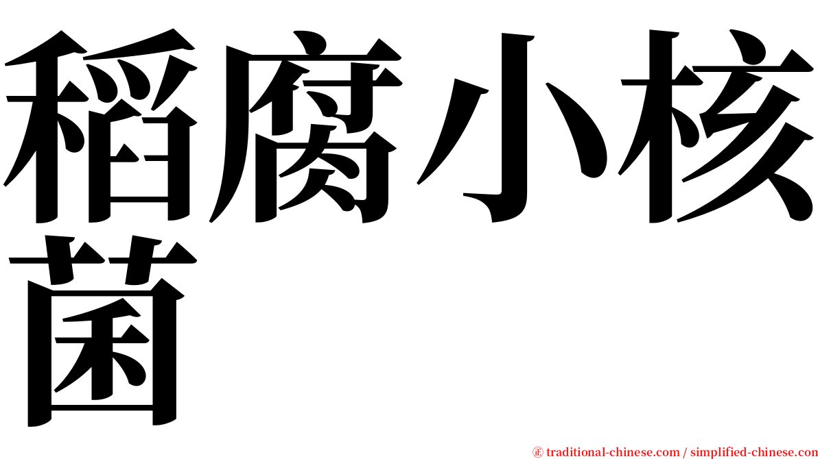 稻腐小核菌 serif font