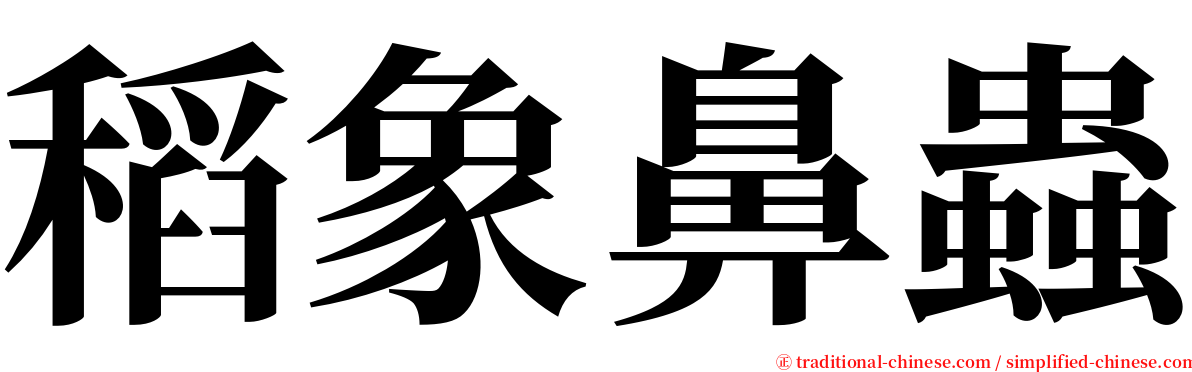 稻象鼻蟲 serif font