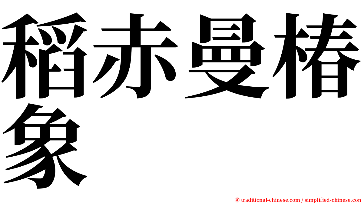 稻赤曼椿象 serif font