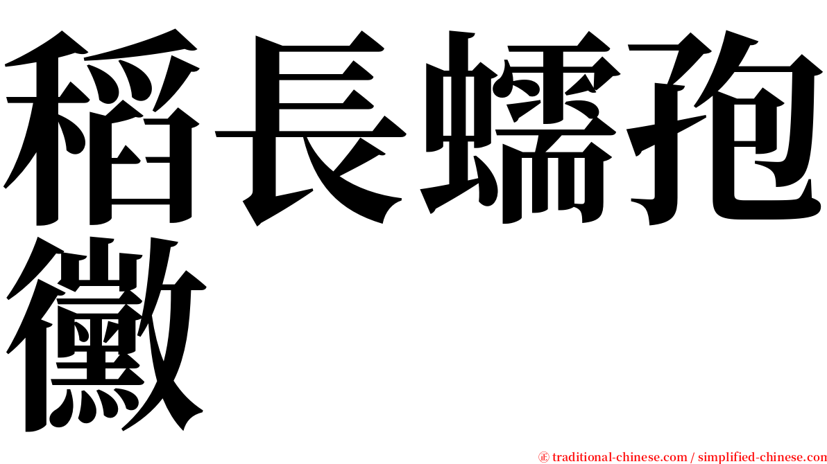 稻長蠕孢黴 serif font