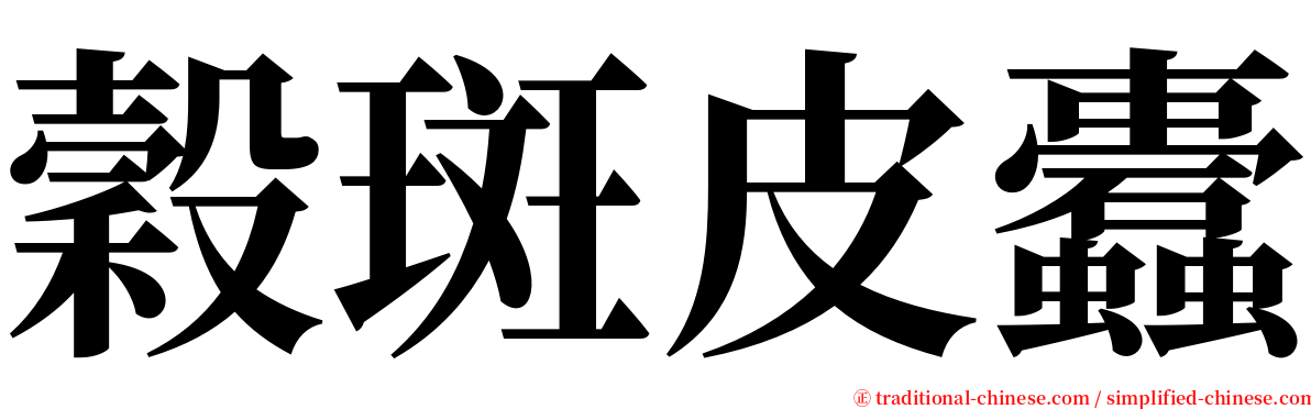 穀斑皮蠹 serif font