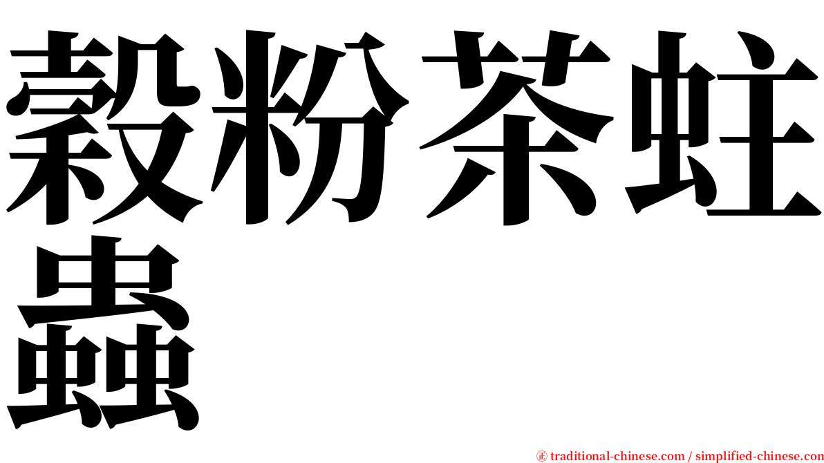 穀粉茶蛀蟲 serif font