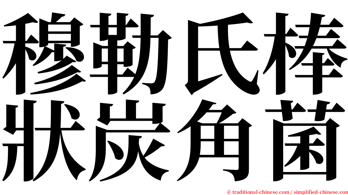 穆勒氏棒狀炭角菌 serif font