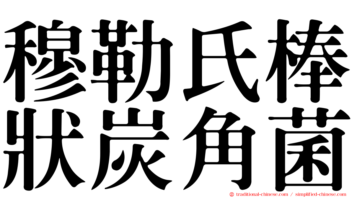 穆勒氏棒狀炭角菌