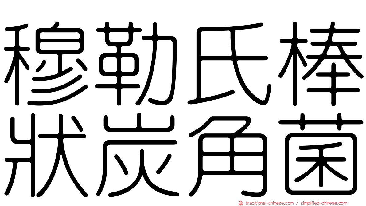 穆勒氏棒狀炭角菌