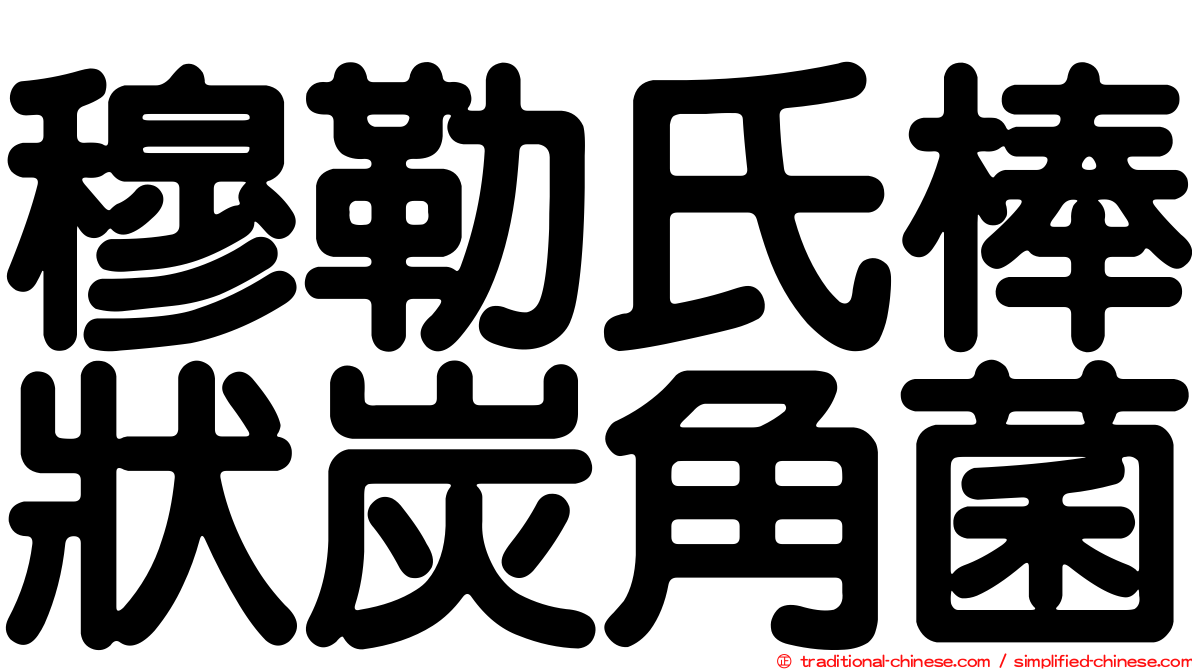 穆勒氏棒狀炭角菌