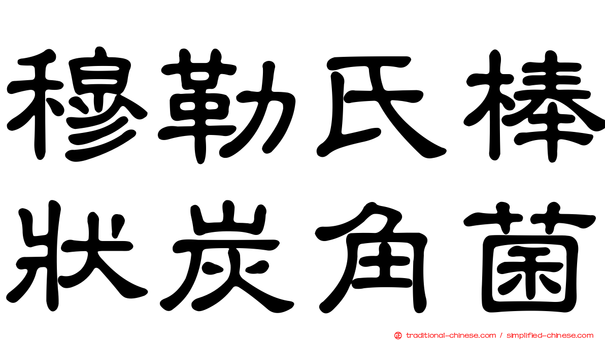 穆勒氏棒狀炭角菌