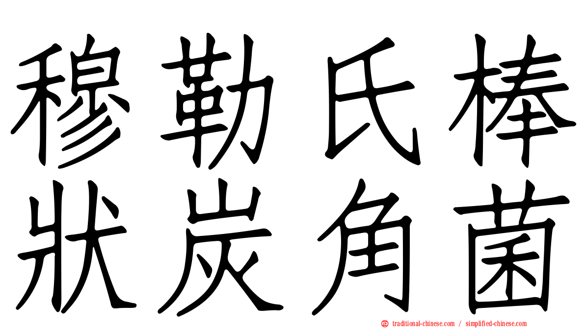 穆勒氏棒狀炭角菌