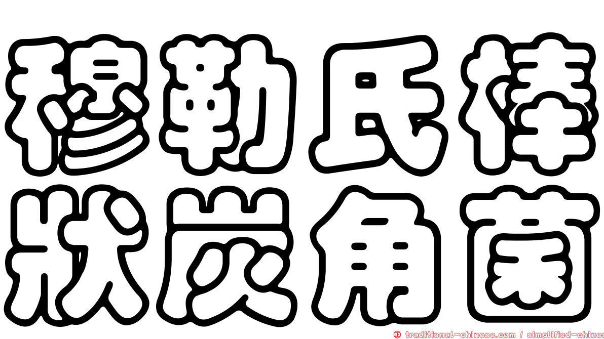 穆勒氏棒狀炭角菌