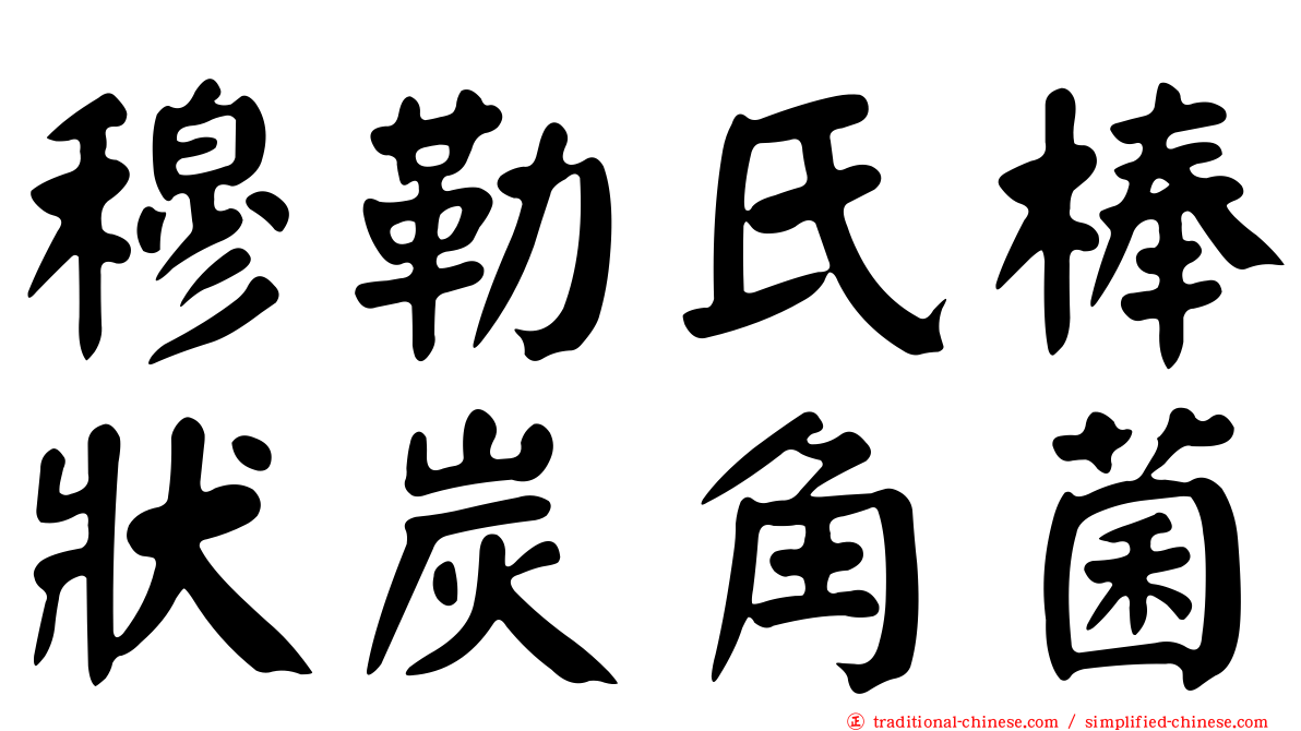 穆勒氏棒狀炭角菌