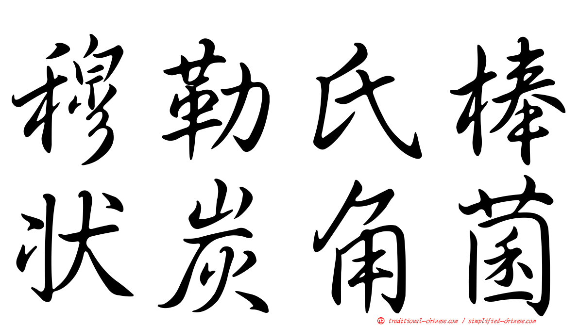 穆勒氏棒狀炭角菌
