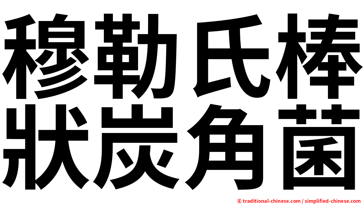 穆勒氏棒狀炭角菌