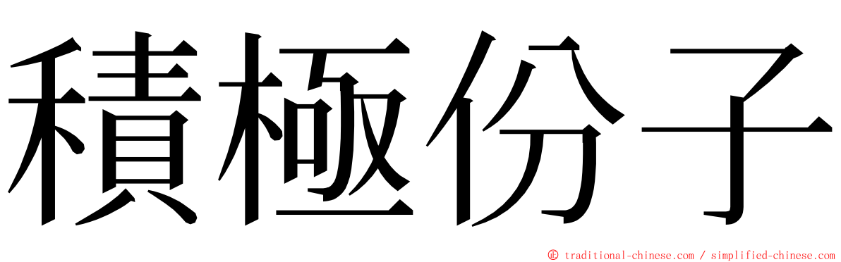 積極份子 ming font