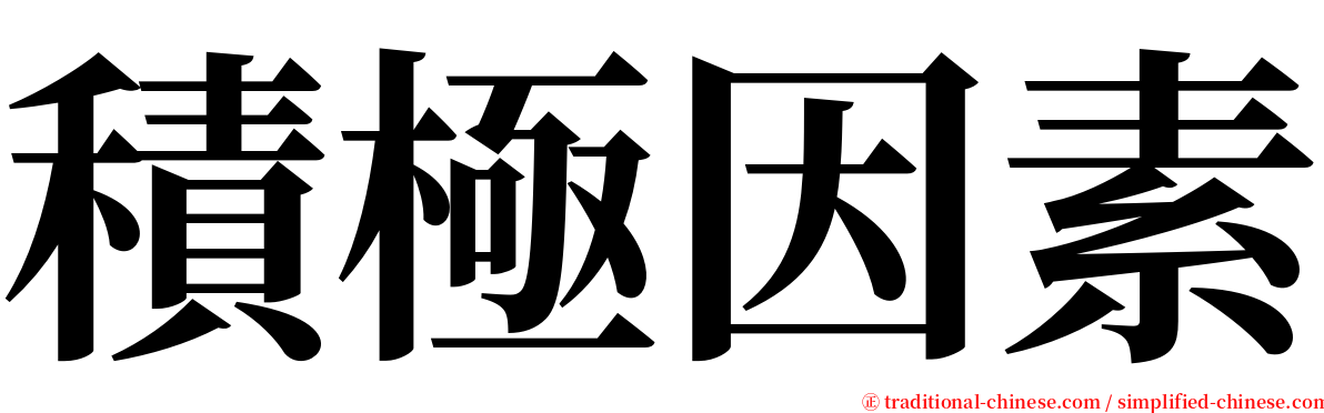 積極因素 serif font