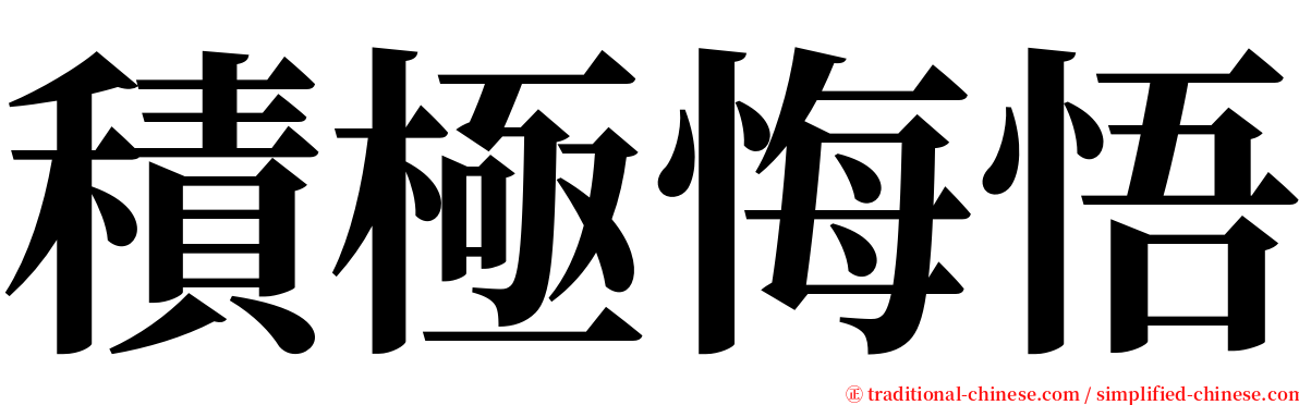 積極悔悟 serif font