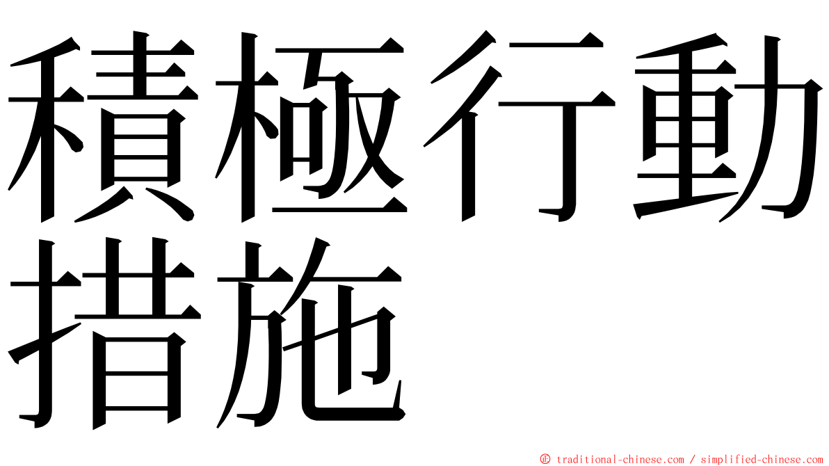積極行動措施 ming font