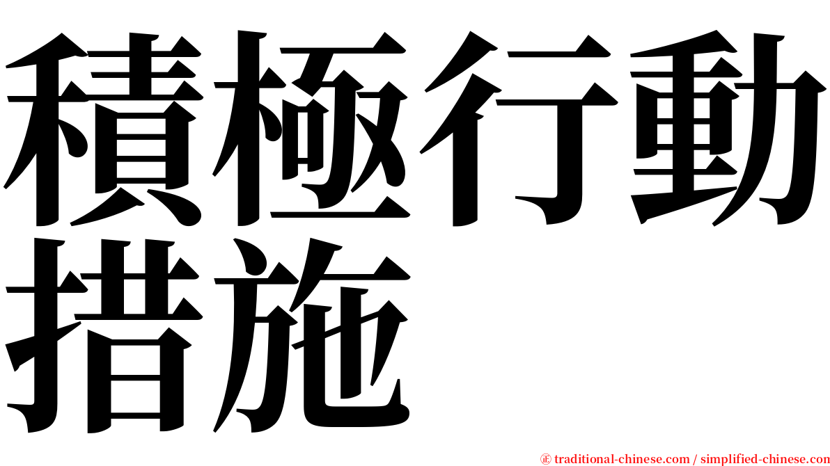 積極行動措施 serif font