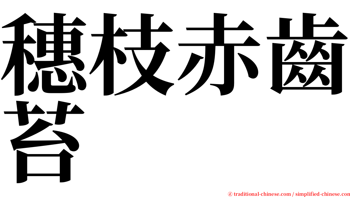 穗枝赤齒苔 serif font
