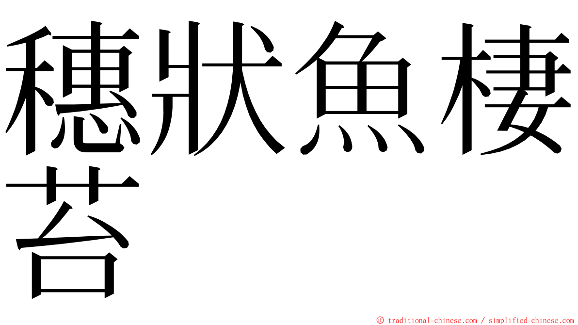 穗狀魚棲苔 ming font