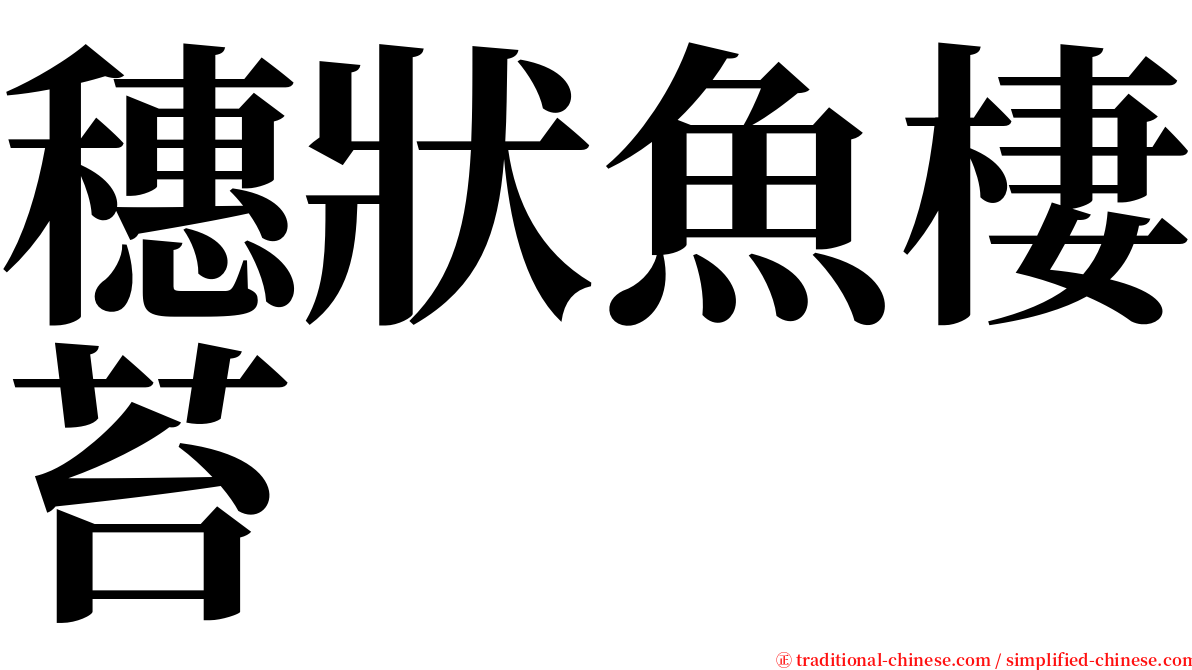 穗狀魚棲苔 serif font