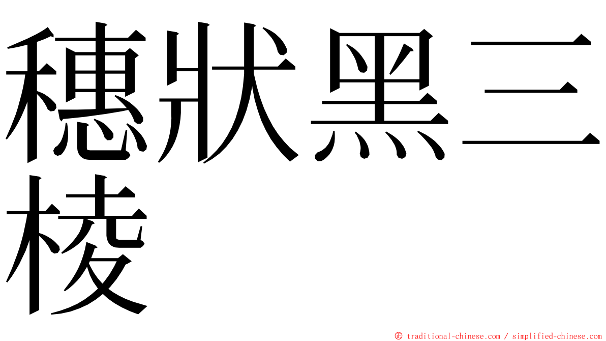 穗狀黑三棱 ming font