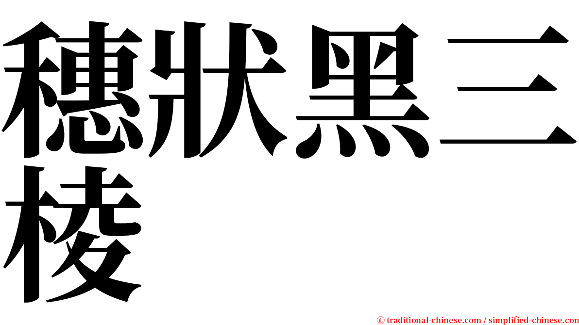 穗狀黑三棱 serif font