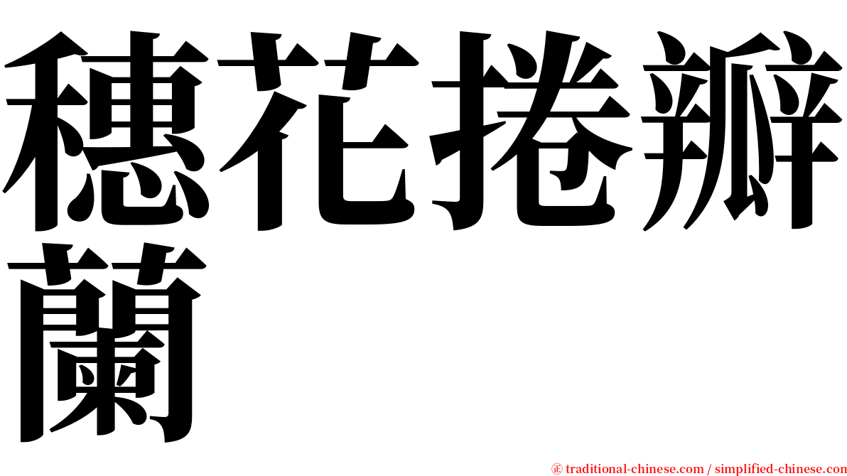 穗花捲瓣蘭 serif font