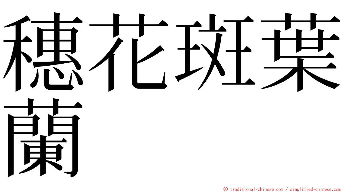 穗花斑葉蘭 ming font