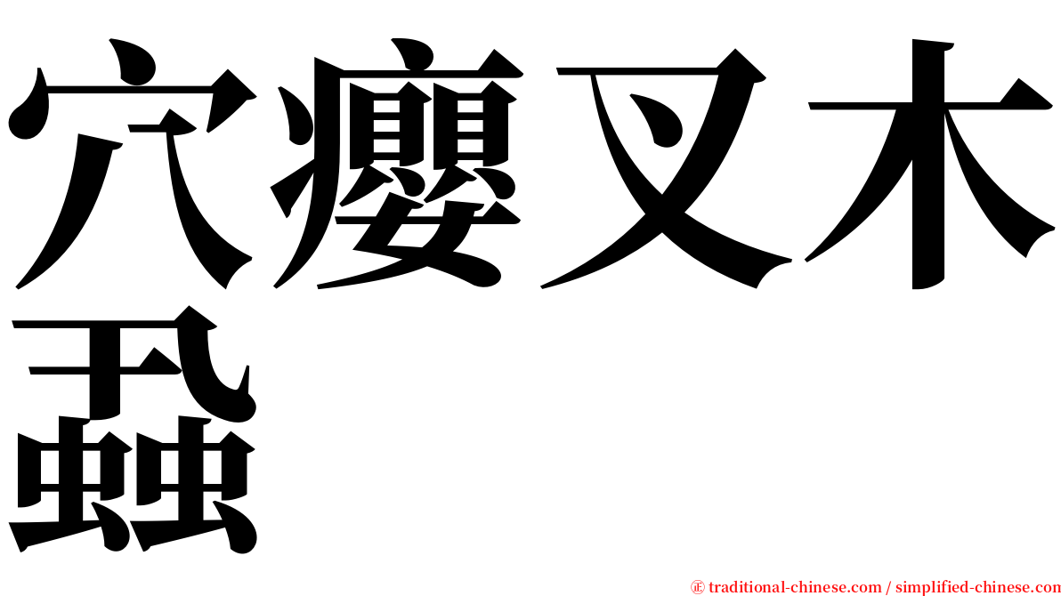 穴癭叉木蝨 serif font